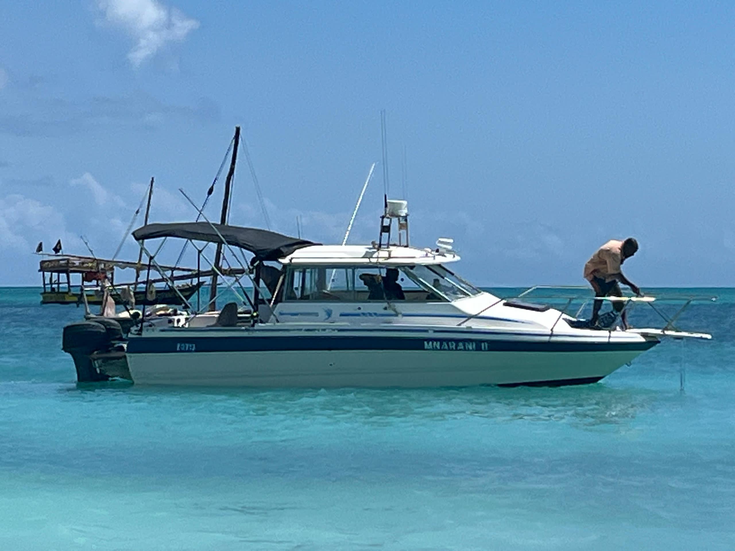 Deep Sea Game Fishing - Half Day
